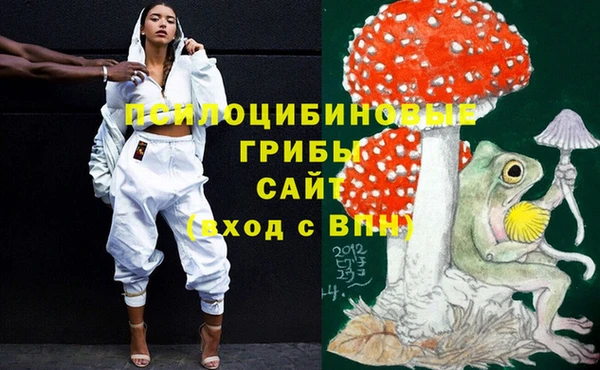 молекула духа Инсар