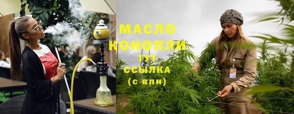 мет Инта