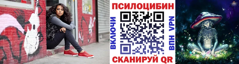 Купить  Бежецк  Псилоцибиновые грибы Psilocybe 