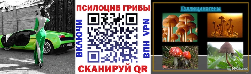 Псилоцибиновые грибы мухоморы Бежецк